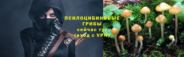 а пвп мука Надым